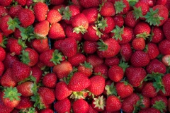 Ảnh minh họa. (Nguồn: Getty Images)