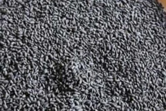 (Nguồn: elevenmyanmar)