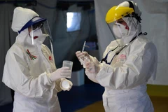 Nhân viên y tế kiểm tra mẫu bệnh phẩm COVID-19 tại Bologna, Italy. (Ảnh: THX/TTXVN)