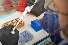 Ảnh minh họa. (Nguồn: AP)