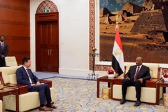 Chủ tịch Hội đồng chuyển tiếp nước Cộng hoà Sudan Abdalftah Alburhan A. Alrahman Alburhan tiếp Đại sứ Việt Nam Trần Thành Công. (Ảnh: Anh Tuấn/TTXVN)