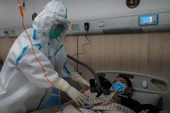 Nhân viên y tế điều trị cho bệnh nhân nhiễm dịch viêm đường hô hấp cấp COVID-19. (Ảnh: THX/TTXVN)