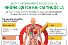 [Infographics] Cai thuốc lá mang lại nhiều lợi ích cho sức khỏe