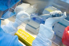 Ảnh minh họa. (Nguồn: Getty Images)