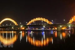 Hình ảnh Đà Nẵng về đêm. (Ảnh: Trần Lê Lâm/TTXVN)