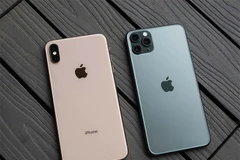 Dòng iPhone 11 của Apple. (Nguồn: AP)