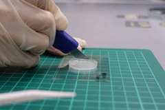 Phát triển da nhân tạo có cảm nhận như da thật. (Nguồn: Reuters)