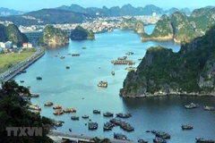 [Video] Các chủ tàu du lịch tại Quảng Ninh xin dừng hoạt động