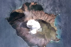 (Nguồn: standard.net.au)