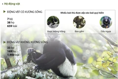 [Infographics] Vườn quốc gia Cúc Phương: Điểm du lịch hấp dẫn du khách