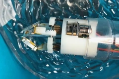 (Nguồn: newatlas.com)