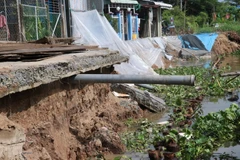 Ảnh minh họa. (Ảnh: Nguyễn Văn Trí/TTXVN)