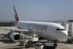 Máy bay của hãng hàng không Emirates. (Nguồn: theloadstar)