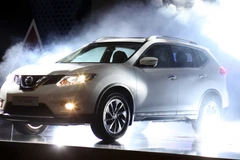 (Ảnh: Doãn Đức/Vietnam+)