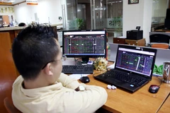 Ảnh minh họa. (Nguồn: PV/Vietnam+)