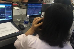 (Ảnh minh họa. Nguồn: PV/Vietnam+)