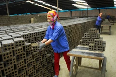 (Ảnh minh họa. Nguồn: TTXVN)