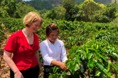 Đại sứ New Zealand tại Việt Nam, bà Wendy Matthews tới thăm người dân Hoàng Hóa, Quảng Trị. (Ảnh: BTC)