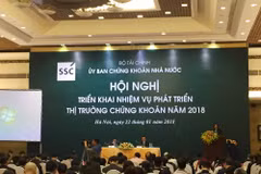 Giá trị danh mục của khối ngoại tính đến tháng 12/2017 đạt 32,9 tỷ USD. (Ảnh: PV/Vietnam+)