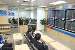 Ảnh minh họa. (Nguồn/TTXVN)