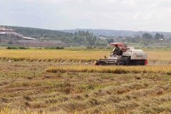 (Ảnh minh họa: Phạm Cường/TTXVN)