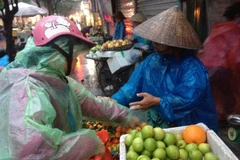 (Ảnh minh họa. Nguồn: PV/Vietnam+)