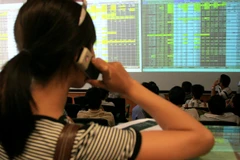 Ảnh minh họa (Nguồn: PV/Vietnam+)