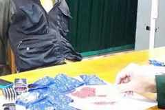 (Ảnh minh họa: Võ Dung/TTXVN)