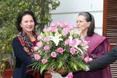 Chủ tịch Quốc hội Nguyễn Thị Kim Ngân gặp bà Sonia Gandhi, Chủ tịch Đảng Quốc đại Ấn Độ. (Ảnh: Trọng Đức/TTXVN)