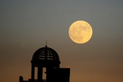 Ảnh minh họa. (Nguồn: THX/TTXVN)