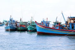 Tàu cá neo đậu tại cảng. (Ảnh minh họa: Lê Sen/TTXVN)