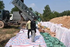 Tổ chức tiêu hủy số hàng hải sản không đảm bảo an toàn tại khu vực tiêu hủy theo đúng quy trình kỹ thuật và bảo vệ môi trường. (Ảnh: Võ Dung/TTXVN)