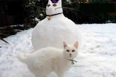 Tròn mắt trước những người tuyết độc đáo nhất thế giới