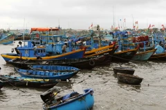 (Ảnh minh họa: An Hiếu/TTXVN)