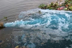 Ảnh minh họa. (Nguồn: TTXVN)