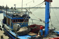 (Ảnh chỉ có tính minh họa: Đỗ Trưởng/TTXVN)