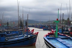 Hàng ngàn tàu thuyền đã vào âu thuyền Tam Quan Bắc, huyện Hoài Nhơn, Bình Định để tránh trú áp thấp nhiệt đới. (Ảnh: Viết Ý/TTXVN)