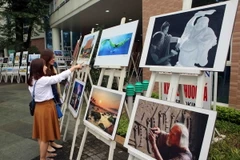 Triển lãm ảnh và trưng bày tư liệu “Đà Nẵng - Dấu ấn 20 năm đổi mới”. (Ảnh: Trần Lê Lâm/TTXVN)