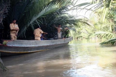 (Ảnh minh họa: Hưng Thịnh/TTXVN)