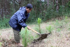 Đổi mới nông-lâm trường: Người dân vẫn “khát” đất