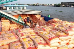 Việt Nam - Đối tác đầy tiềm năng của các quốc gia châu Phi