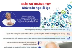 Giáo sư Hoàng Tụy - Cây đại thụ của nền toán học Việt Nam.