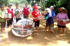 Cán bộ Chữ thập Đỏ cứu trợ người dân vùng lũ. (Ảnh minh họa. Nguồn: TTXVN)