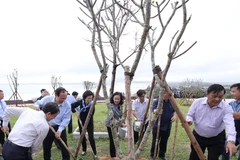 Bà Trương Thị Mai - Ủy viên Bộ Chính trị, Bí thư Trung ương Đảng, Trưởng ban Dân vận Trung ương cùng các đại biểu thực hiện nghi thức trồng cây của chương trình Quỹ 1 triệu cây xanh cho Việt Nam. (Nguồn: Vinamilk)