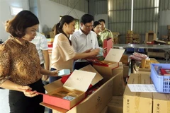 Kiểm tra một số cơ sở sản xuất, chế biến, kinh doanh bánh Trung Thu tại huyện Mê Linh. (Ảnh minh họa: Dương Ngoc/TTXVN)