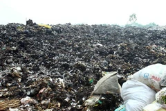 Ảnh minh họa. (Nguồn: TTXVN)