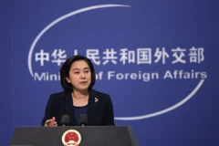 Bà Hoa Xuân Oánh. (Nguồn: EPA/TTXVN)