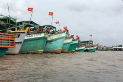 Việt Nam đã cải thiện đáng kể trong việc theo dõi, kiểm soát, giám sát tàu cá. (Ảnh minh họa: Thế Anh/TTXVN)