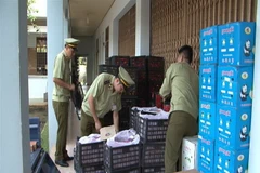 Hơn 2 tấn trái cây nhập lậu bị lực lượng chức năng phát hiện xử lý. (Ảnh: Đậu Tất Thành/TTXVN)