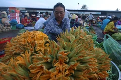 Khu chợ nông thôn ở thành phố Vị Thanh, tỉnh Hậu Giang. (Ảnh: Duy Khương/TTXVN)